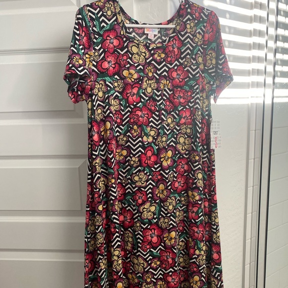 LuLaRoe Carly swing dress - Picture 1 of 4